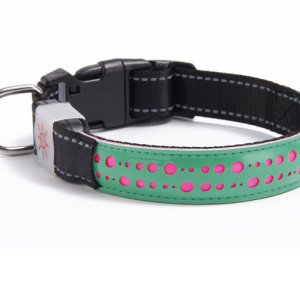LED light collar pet collar