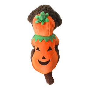 Cat Costume Halloween clothes pumpkin demon transformation