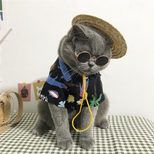 Cat Hawaiian Shirt, Tropical Print Summer