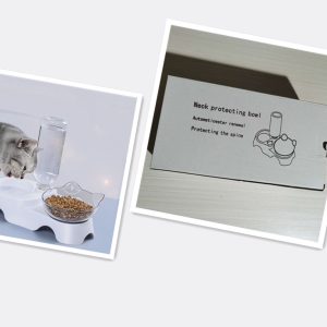 Pet feeder cat bowl