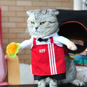 Spring and autumn cat costume