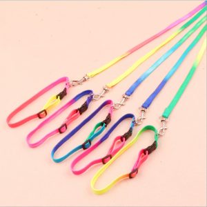 Round rainbow color cat leash chain