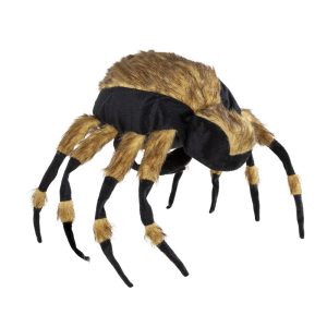 Cat Costume Spiders Change Costumes