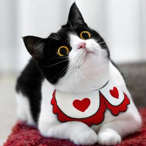 Heart-Print Cat Collar, Red and White Bib