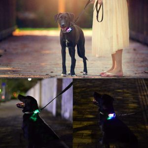 Cat Harness LED luminous collar leash