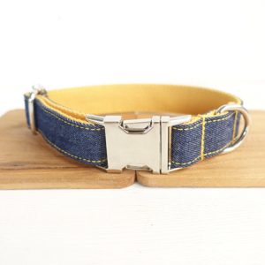 Cat cowboy collar