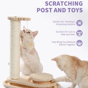 Cat Scratching Board with Interactive Ball Track