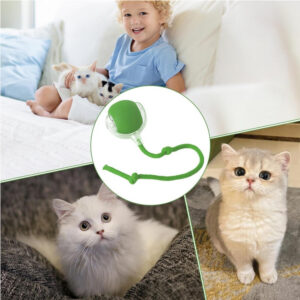 Interactive Rolling Ball Toy for Cats and Dogs, Green
