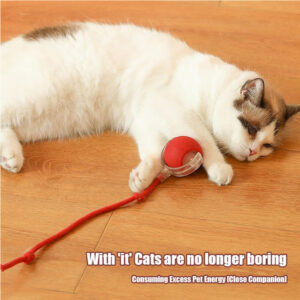 Interactive Rolling Ball Toy for Cats and Dogs, Blue