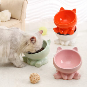 Ceramic Tilted Cat Food Bowl with Neck Guard