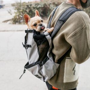 Double-Shoulder Dog Carrier Backpack