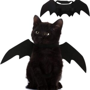 Cat Bat-Wing Halloween Costume with Leash