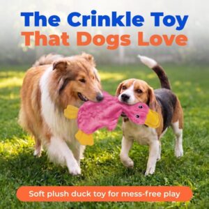 Squeaky Dog Chew Toy for Fetch Lovers