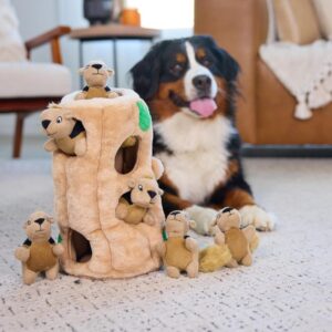 Squirrel Plush Puzzle Toy, 6 Squeaky Squirrels