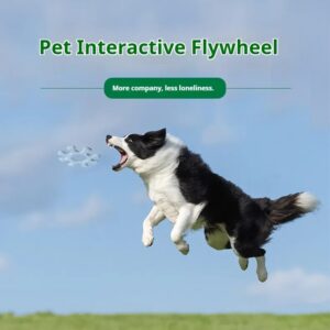 Interactive Flywheel Dog Toy