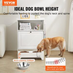 Elevated Pet Feeding Station with Storage, Large