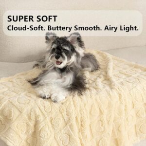 Coral Fleece Pet Blanket, 300 GSM, Washable