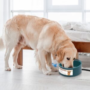 Heated Dog & Cat Water Bowl, 74.4 oz, IP67 Waterproof
