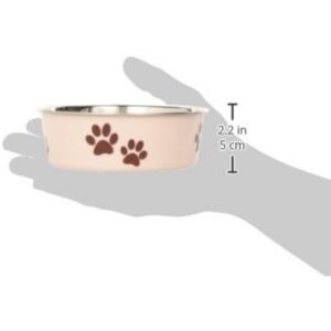 Stainless Steel Spill-Proof Dog & Cat Bowl