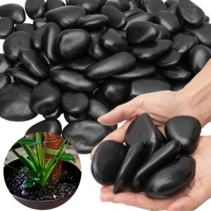 38 lb Polished River Rocks for Aquarium & Decor
